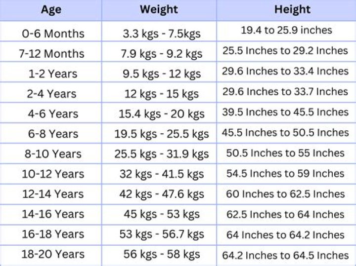 Discover His Age, Height, And More