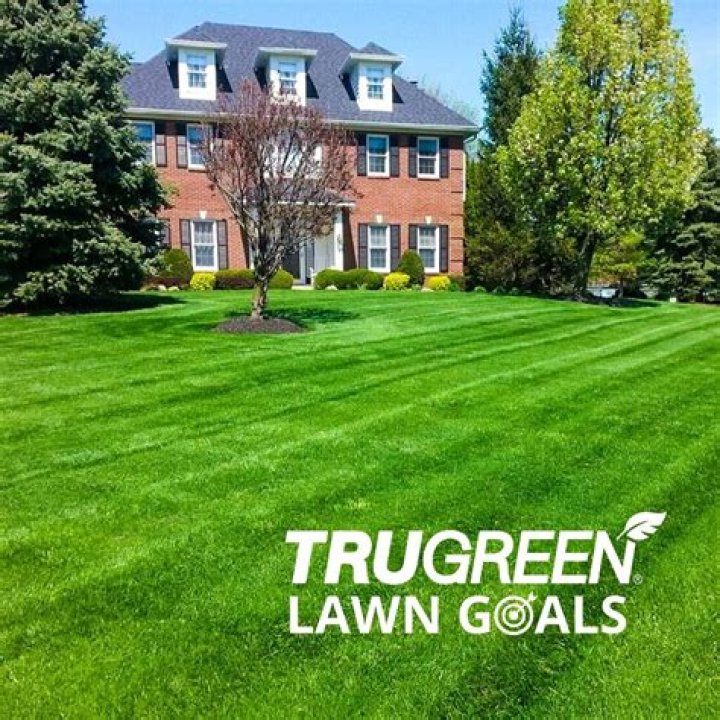 Discover The Secrets To A Thriving Lawn: TruGreen Michigan To