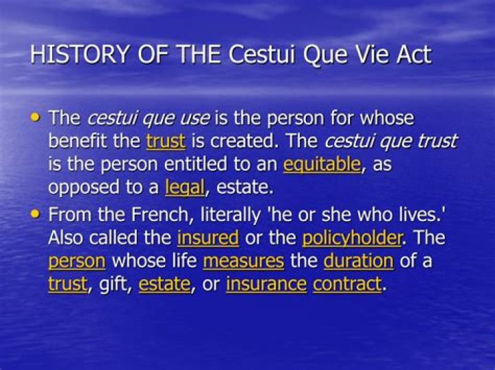 Discover Your Rights As A Cestui Que Trust