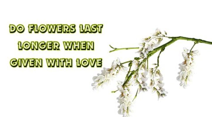 Do Flowers Given With Love Last Longer? Insights Revealed