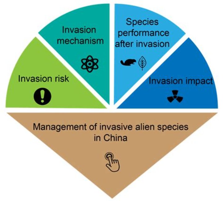 Exploring The Campus Invasion And Its Impact