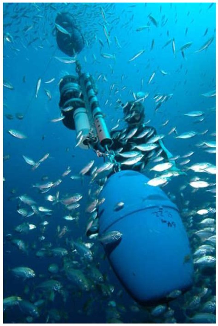 Integrated Marine Observing System: Animal Tracking Facility