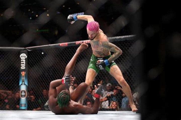 Sean O'Malley's Path To UFC Dominance
