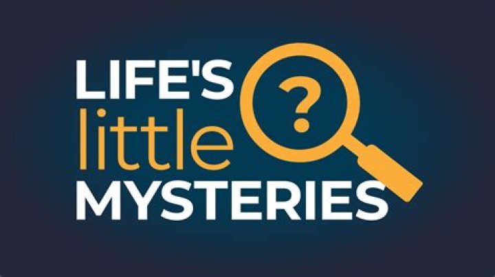 Uncovering James Murray's Fortune, Identity, And Life's Journey