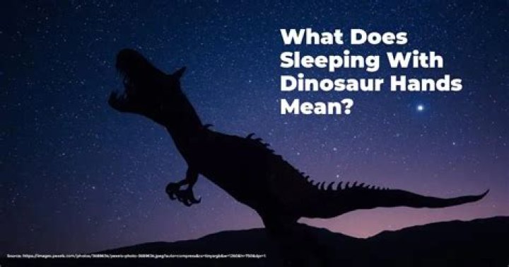 Unleashing The Secrets Of "Sleeping With Dinosaur Hands ADHD": Discoveries And Insights