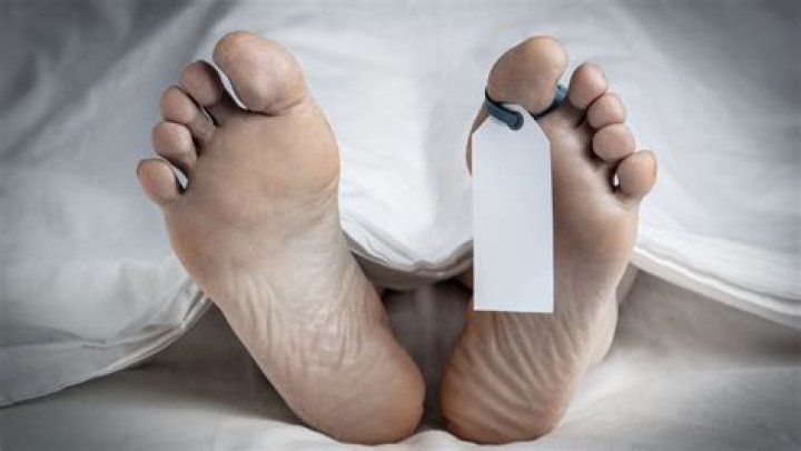 Unveiling The Dark Truths: Lacey Fletcher Autopsy Photos