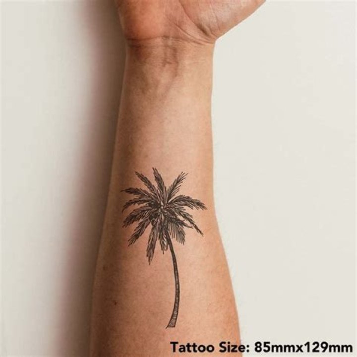 Unveiling The Enigmatic Charm Of Palm Tree Tattoos For Guys