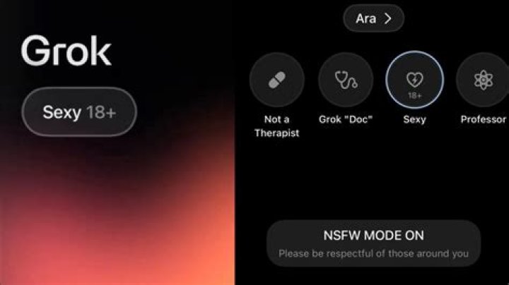 Unveiling The Secrets Of NSFW: An Internet Acronym Demystified