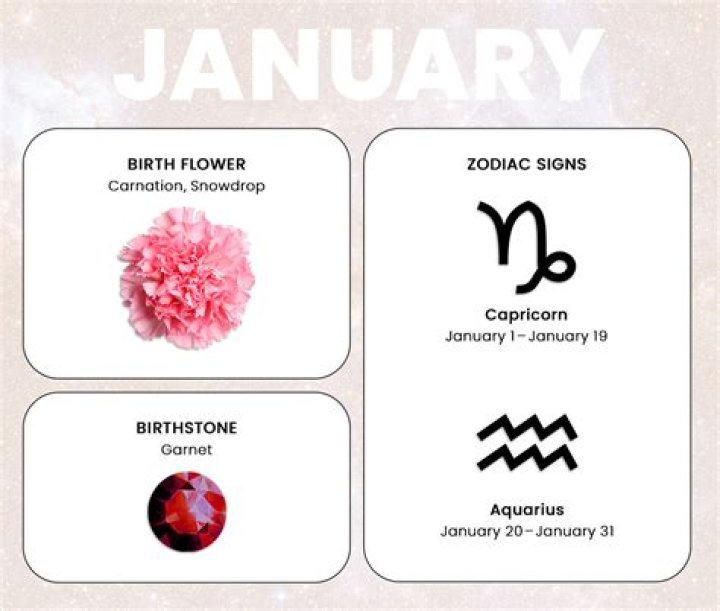 What Is January's Zodiac?